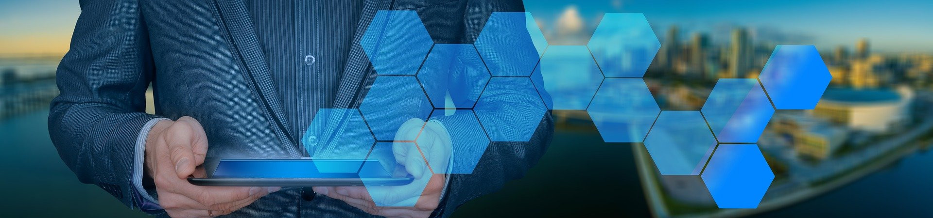 Businessman while networking